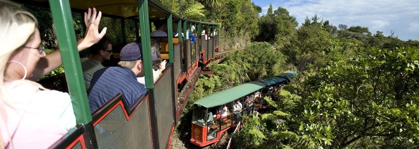 Astronomy Tours New Zealand